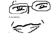 500x343