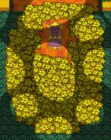 383x480