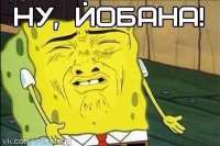 556x371
