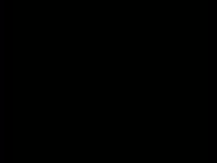 384x288
