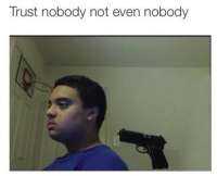 502x409