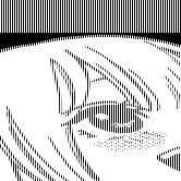 166x166