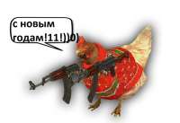 998x685
