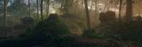 3840x1280