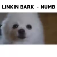 280x280