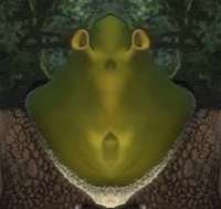 347x329