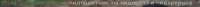 407x16