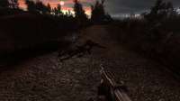 1366x768