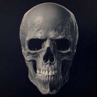 1200x1200