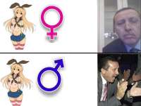 600x455
