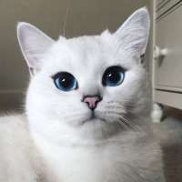 600x600