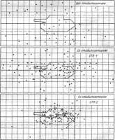 507x611