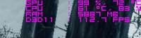 292x81