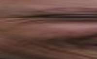 383x235