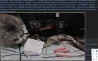 1391x867