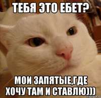 493x480