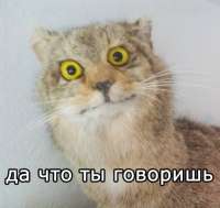 400x378