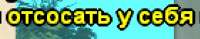 421x84