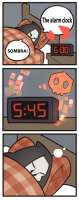 320x810