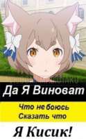 294x472