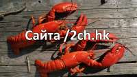 1366x768