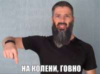 500x372
