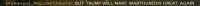 1729x60
