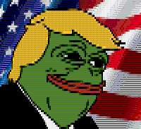 800x732