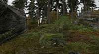 500x274