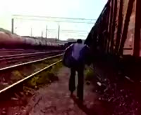 292x240