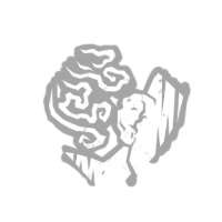 256x256