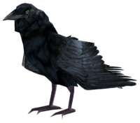 200x176
