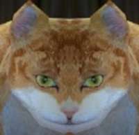 217x210