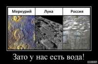 600x393