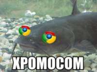 640x479