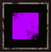 310x311