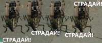 1162x491