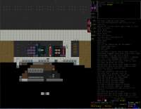 1241x962