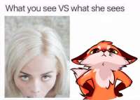 492x352