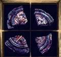 120x113