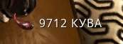 173x63