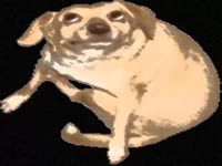 480x360