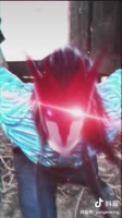 720x1280