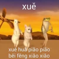 360x360
