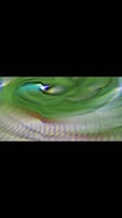 540x960