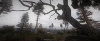 3440x1440