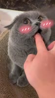 576x1024