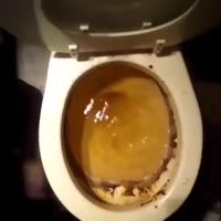 360x360