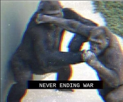 409x339