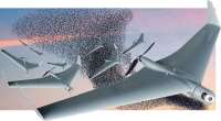 733x404